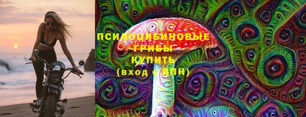 винт Абаза