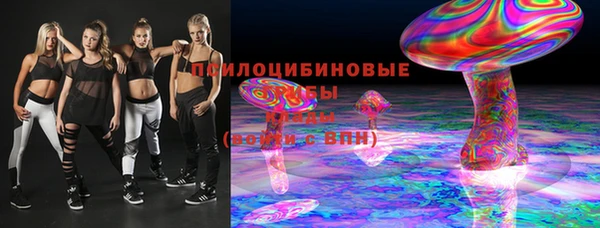 винт Абаза