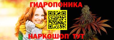 спайс Будённовск
