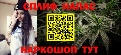 спайс Будённовск