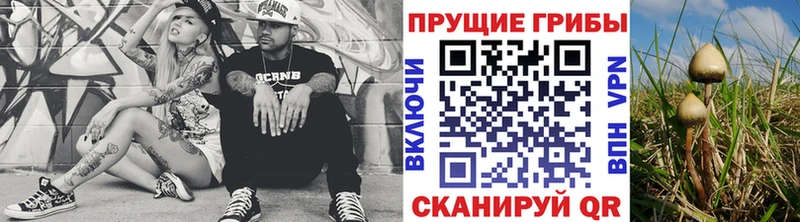 Псилоцибиновые грибы Psilocybine cubensis  гидра ONION  Партизанск 