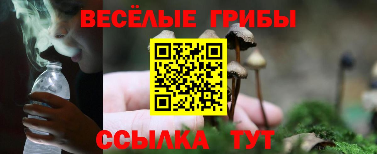 где купить наркоту  Вход с VPN  Партизанск  Псилоцибиновые грибы Psilocybe 